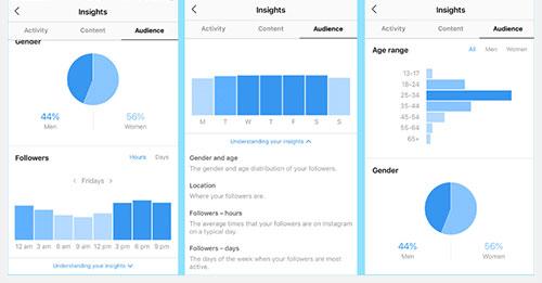 Instagram Analytics