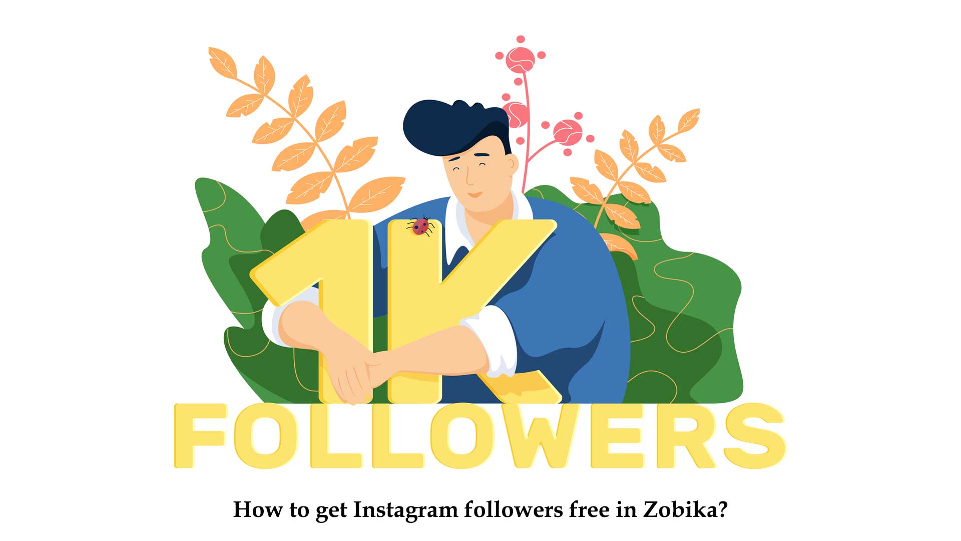 How to get Instagram followers free