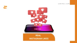 Real Instagram Likes