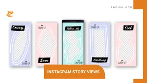 Instagram Story Views
