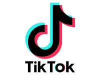 tiktok icon